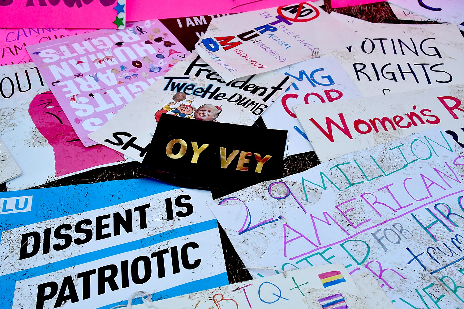 Dissent is patriotic © 2017 Karen Rubin/news-photos-features.com